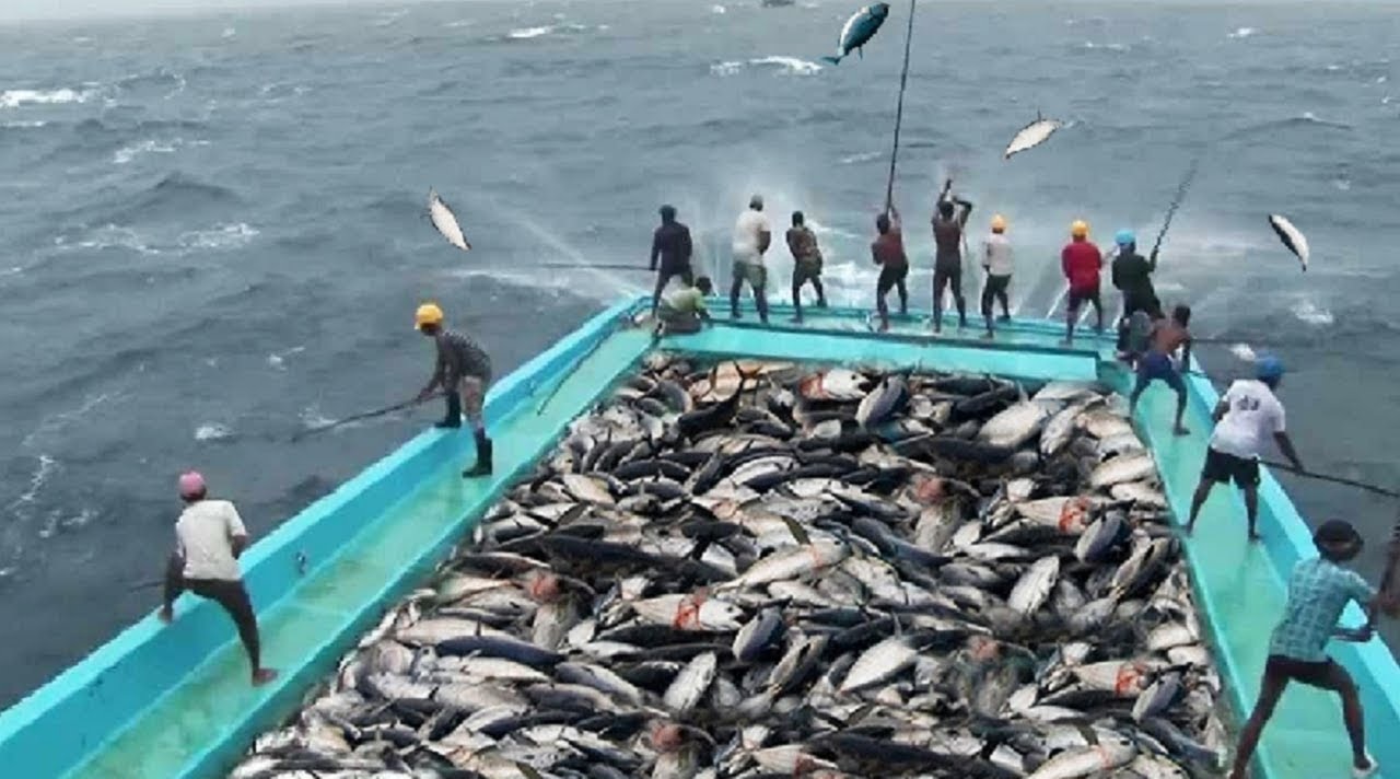 Kế hoạch bảo vệ biển của EU bị rò rỉ gây lo ngại cho ngành khai thác biển