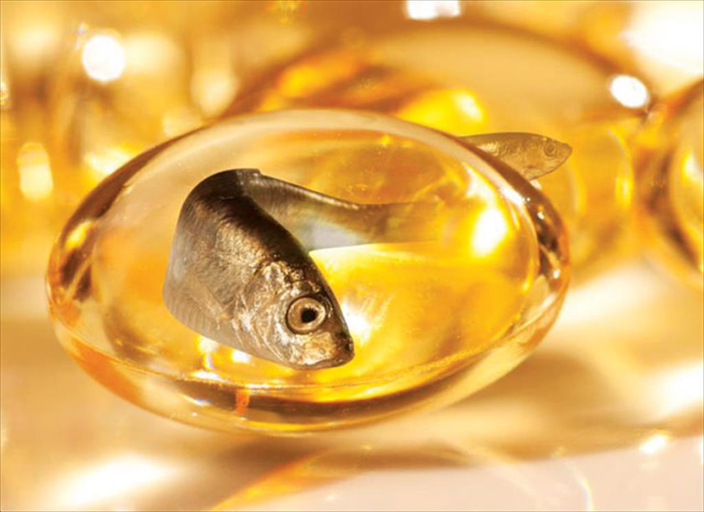 Peru Xuất khẩu thủy sản tháng 112022 tăng nhờ doanh số bột cá bùng nổ