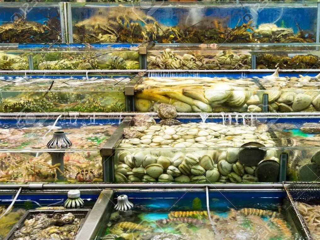 Nhập khẩu thủy sản Trung Quốc sẽ phục hồi đáng kể vào năm 2023