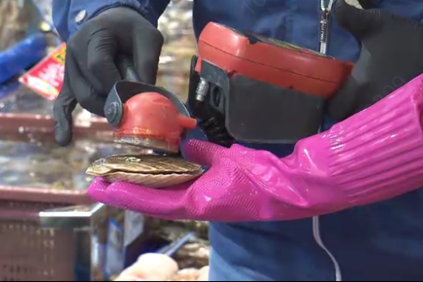 DN thủy sản bức xúc về đối phó của Chính phủ Hàn Quốc trước việc Nhật Bản xả nước thải nhiễm xạ ra biển