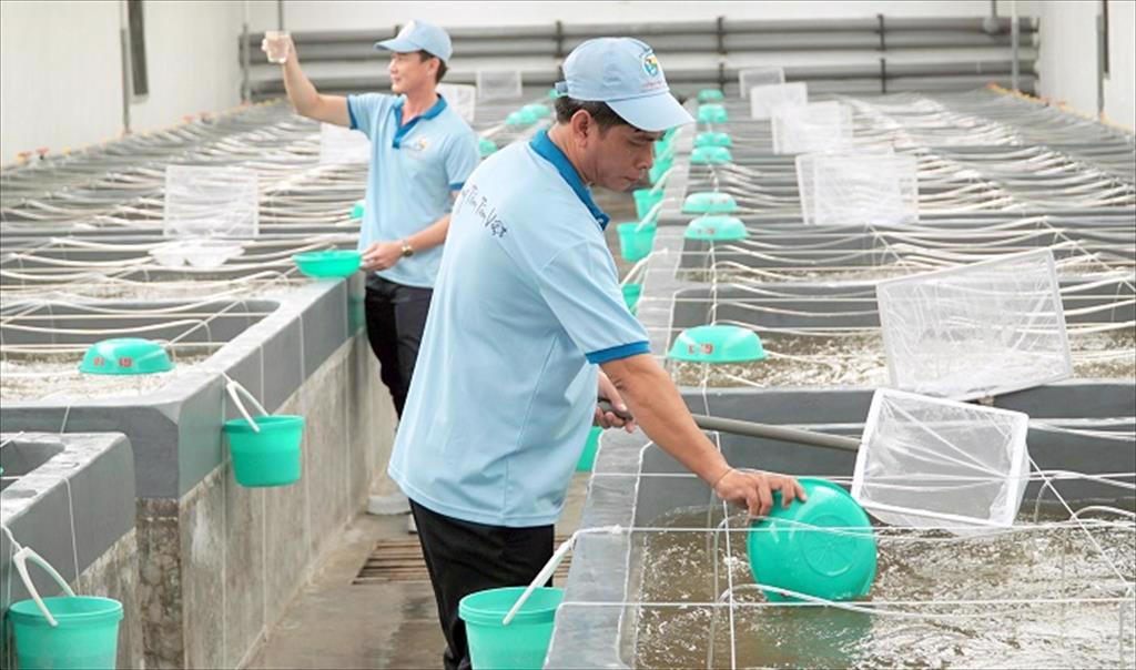 Bạc Liêu: Xuất khẩu 1 tỉ USD từ tôm trong năm 2023 không xa vời