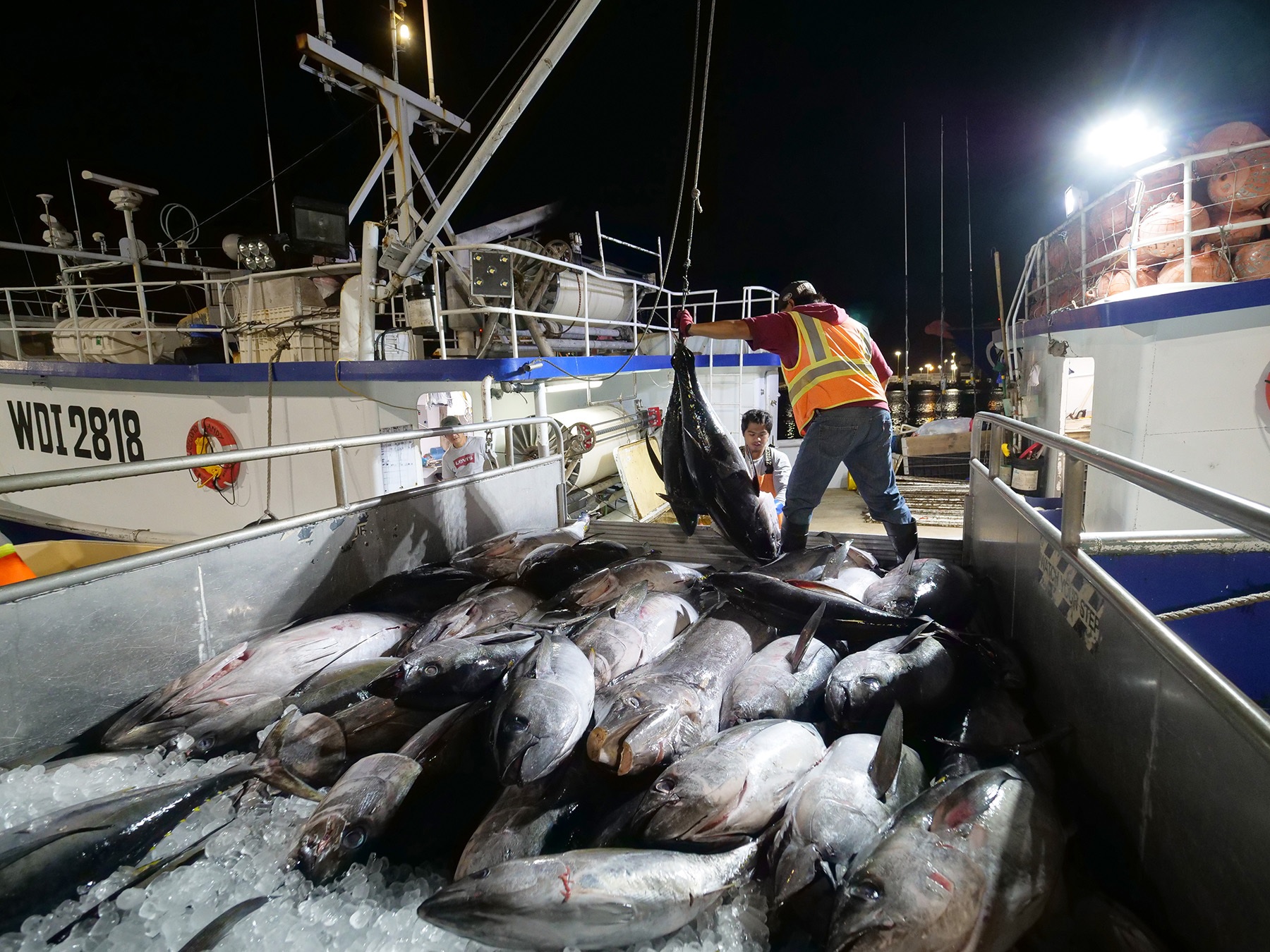 Nhiều nhà bán lẻ lớn của Mỹ không đáp ứng tiêu chuẩn nhân quyền trong việc tìm nguồn cung ứng cá ngừ