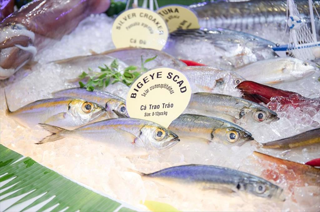 Infographic: Xuất khẩu hải sản của Việt Nam tháng 01/2023