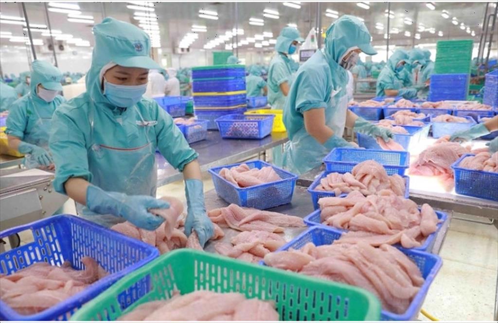 Trung Quốc có thể "soán ngôi vương" của Mỹ trong nhập khẩu thuỷ sản Việt