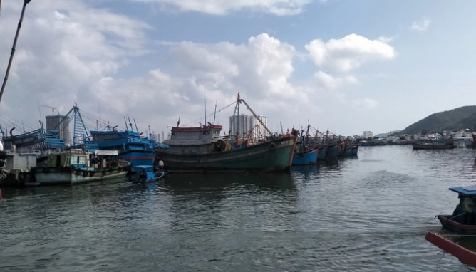 Thiếu lao động đi biển, tàu nằm bờ