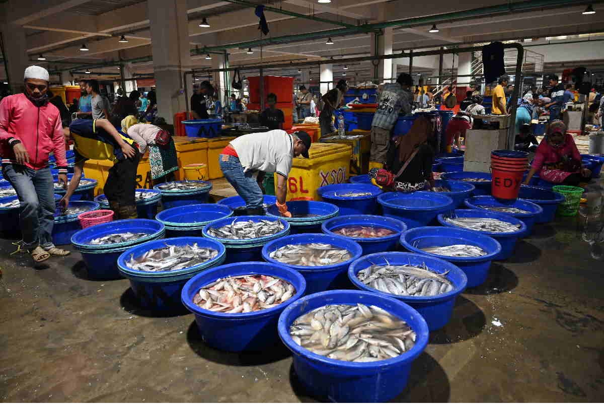 Đánh giá hệ thống thuế  thủy sản ở Indonesia