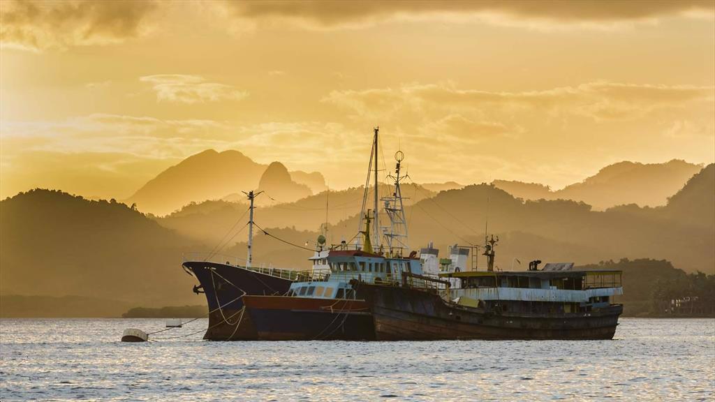 Để chấm dứt đánh bắt IUU, các quốc gia phải hợp tác với nhau