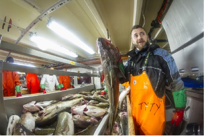 Giá xuất khẩu cá thịt trắng đông lạnh của Na Uy tăng 