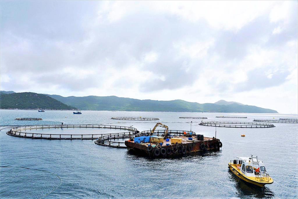 Na Uy - Việt Nam không cạnh tranh mà hỗ trợ nhau trong xuất khẩu thủy sản