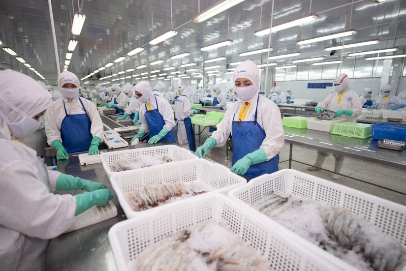 Xuất khẩu thủy sản tháng 2 tăng 4% nhưng chưa phải dấu hiệu hồi phục