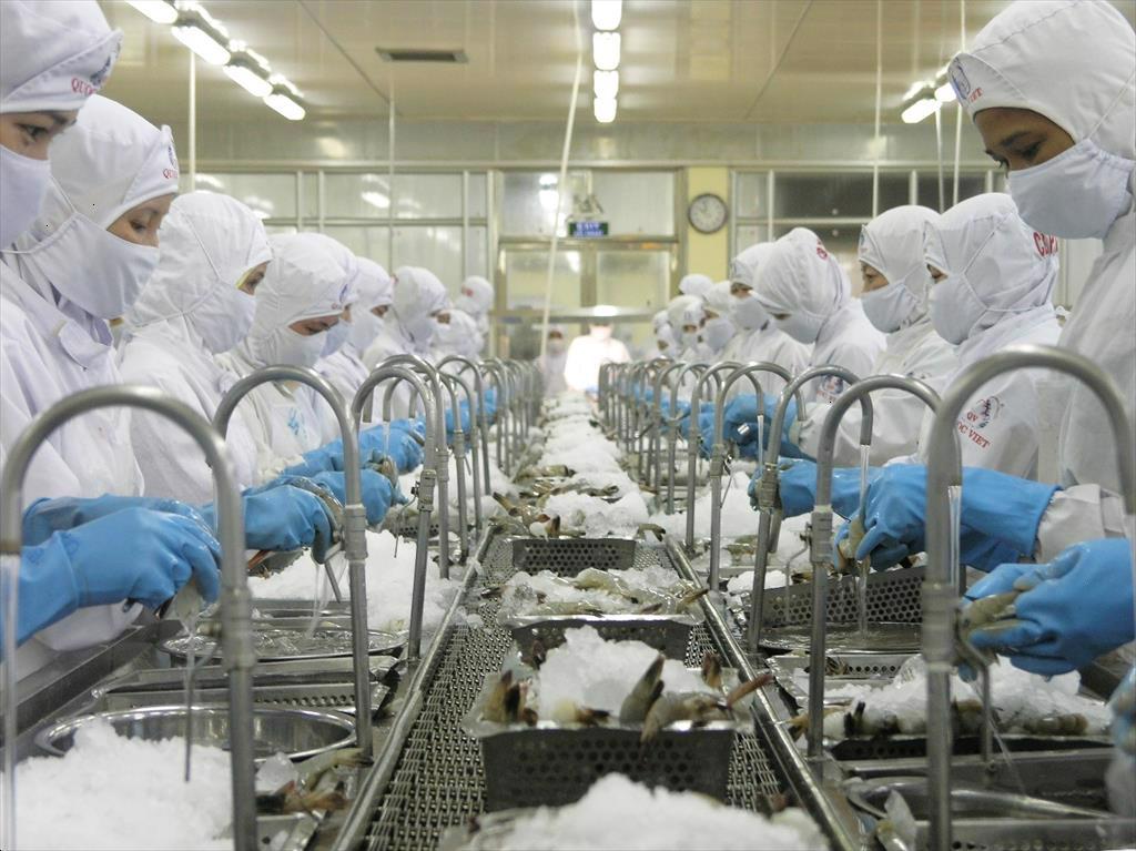 Vietnam’s shrimp exports reached 141 million USD in the first month of 2023