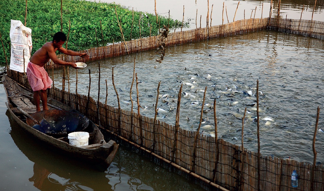 Fisheries in the Mekong Delta overcome difficulties, waiting for opportunities to break through