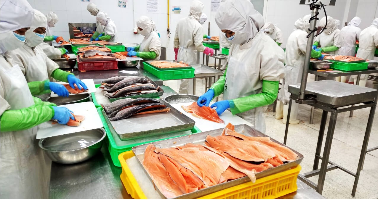 Regardless of the decline trend, Vietnam seafood exports to small markets showed positive growth in January 2023. 
