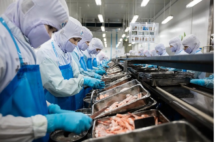 Thái Lan mở cửa nhập khẩu tôm nguyên liệu từ Ấn Độ trong năm nay