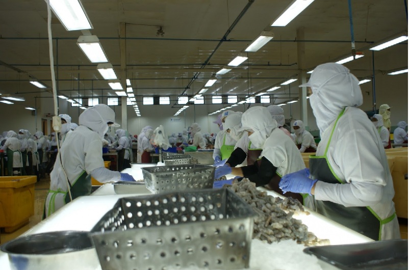 Giới chức Ấn Độ Mức độ phòng ngừa của EU vẫn “cao bất hợp lý”