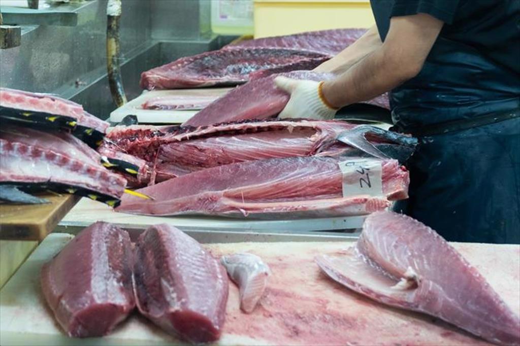 Nhập khẩu cá ngừ của Mỹ năm 2022 tăng 35%