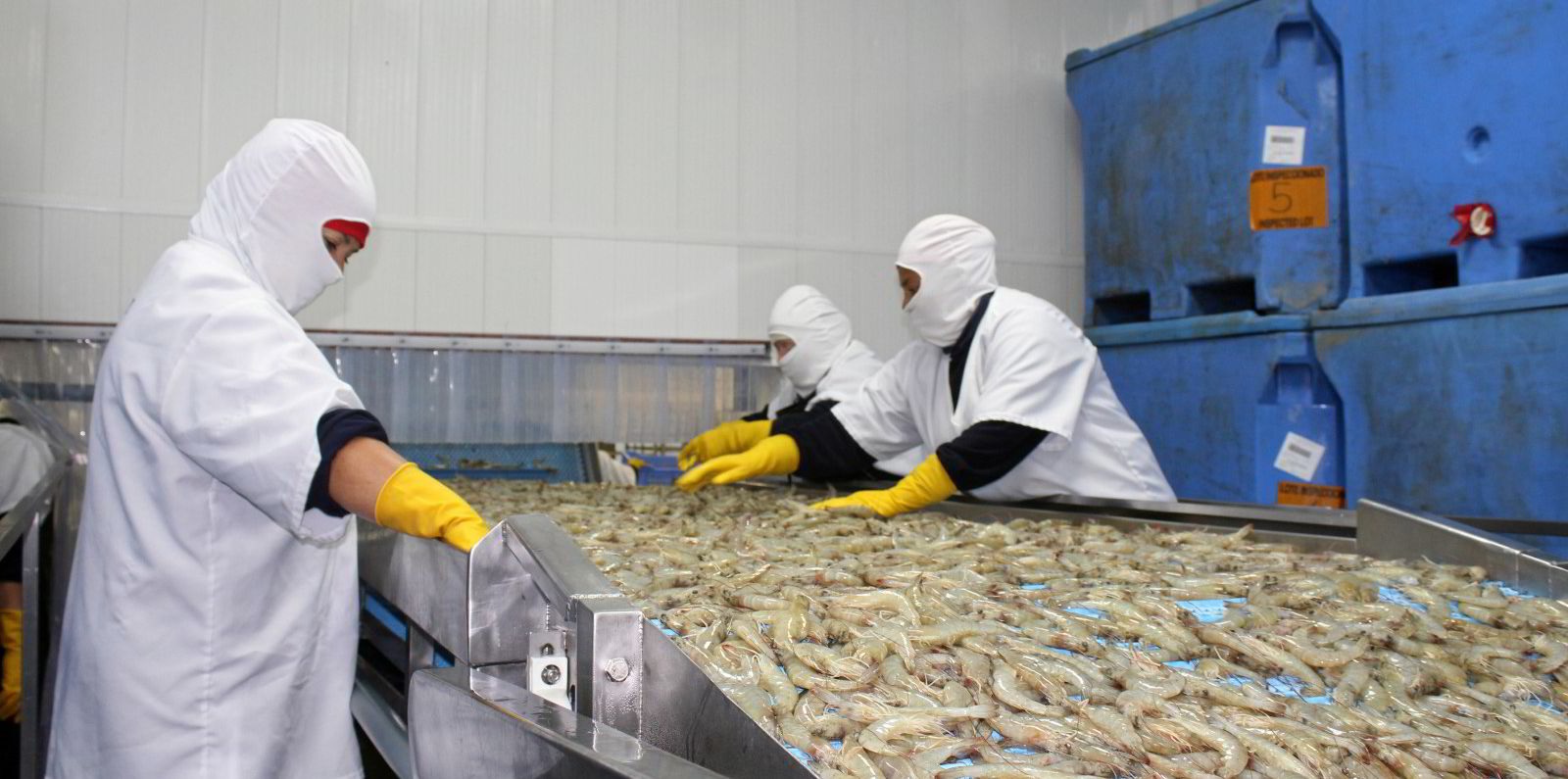 FTA với Costa Rica mang lại lợi ích cho xuất khẩu tôm, thủy sản đóng hộp của Ecuador