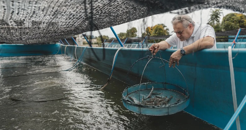 Blue Aqua đạt chứng nhận ASC cho cơ sở nuôi tôm tại Singapore