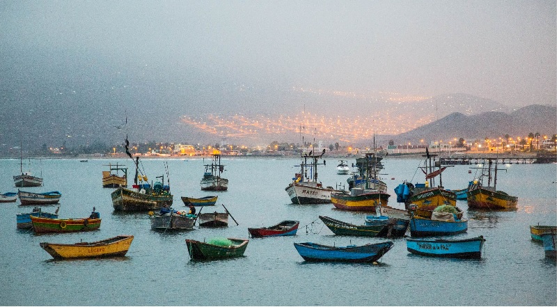 Xuất khẩu thủy sản của Peru tăng 30% nhờ bùng nổ doanh số thủy sản đóng hộp 