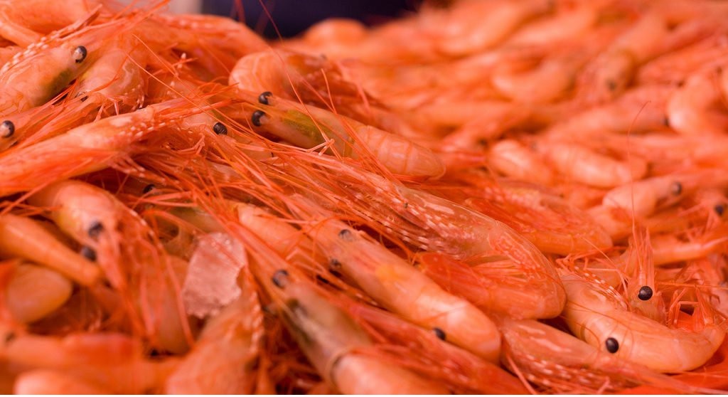 Anh giảm ATQ nhập khẩu tôm nước lạnh trở lại mức năm 2022