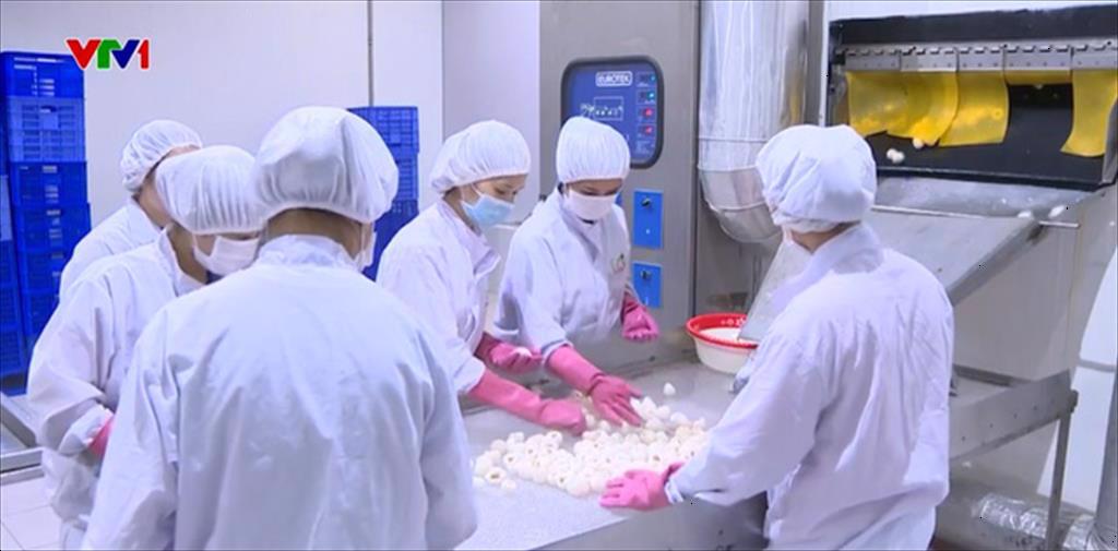 Cơ hội và thách thức xuất khẩu sang Trung Quốc