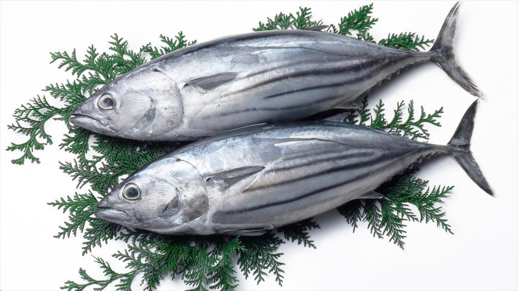 Giá cá ngừ vằn Bangkok tăng vọt lên mức kỷ lục trong 5 năm