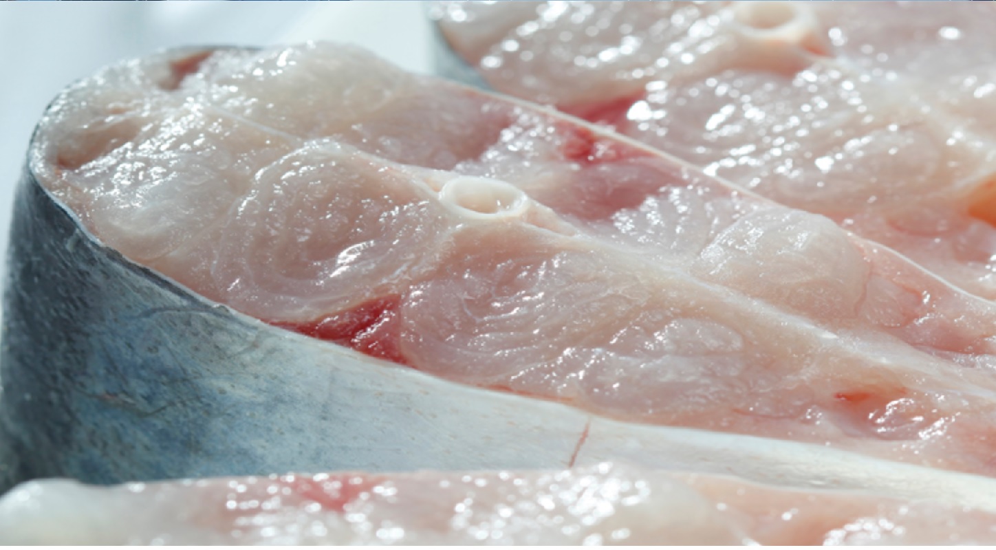 Many markets increased pangasius imports in February