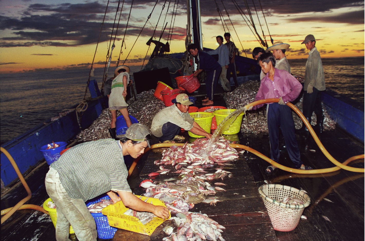 ASEAN cần tăng cường an ninh lương thực