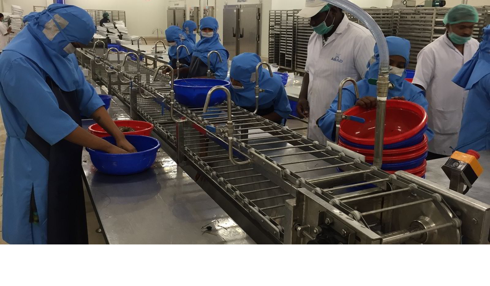 MPEDA thúc đẩy Ấn Độ trở thành trung tâm chế biến thủy sản 