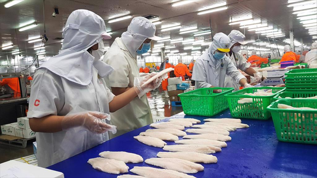 Tìm động lực tăng trưởng mới cho thủy sản