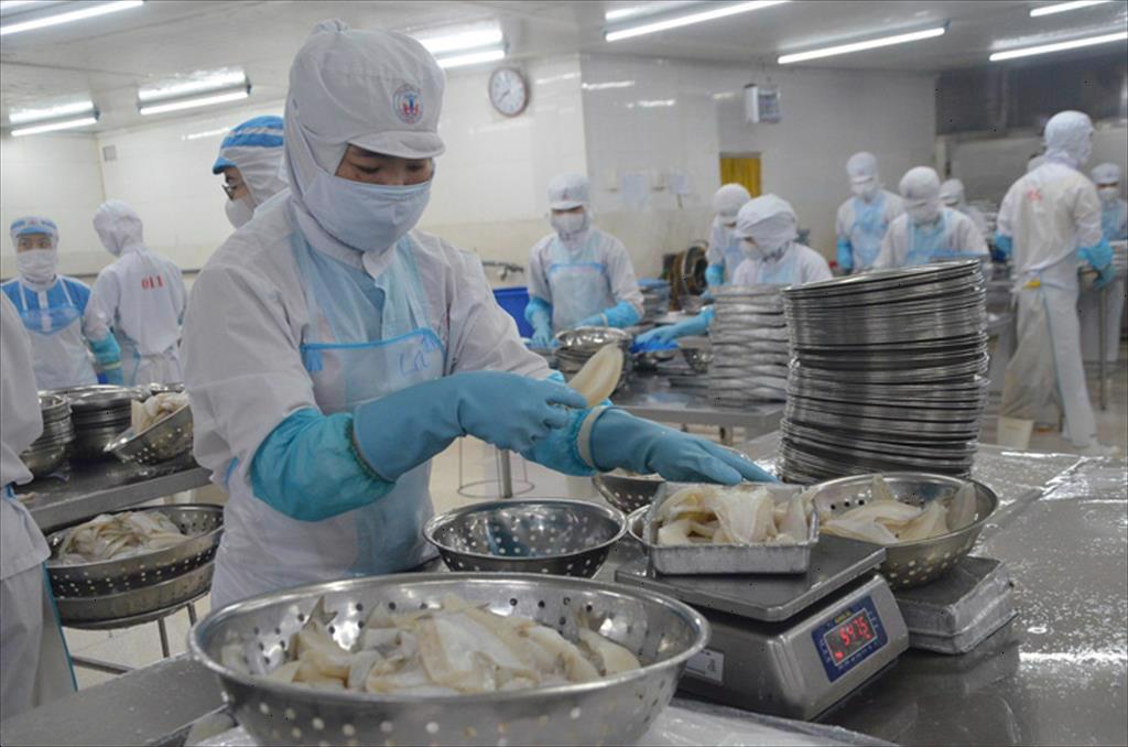 Tinh chế, liên kết chuỗi giá trị để nâng tầm thủy sản Việt Nam