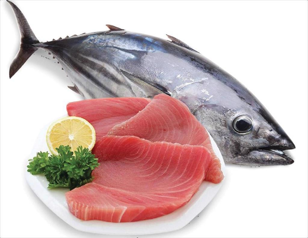 15 nguồn lợi cá ngừ hiện không đạt tiêu chuẩn MSC