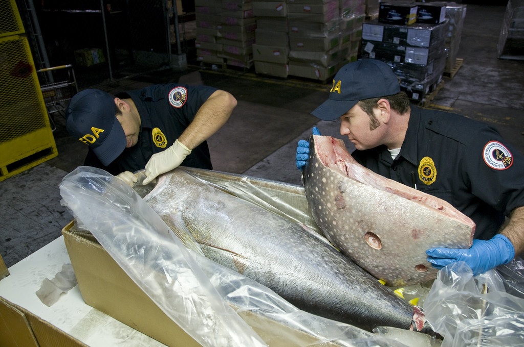 Nhập khẩu thủy sản vào Mỹ phải tuân thủ luật thủy sản của CBP và FDA