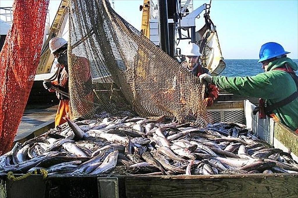 Xuất khẩu thủy sản có thể sẽ phục hồi mạnh mẽ trong quý II2023