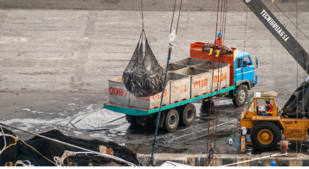 Đội tàu cá ngừ Ecuador mục tiêu mở rộng chứng nhận MSC trong năm nay