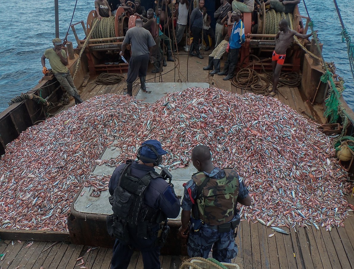 Nam Phi thiệt hại lớn từ tội phạm đánh bắt thủy sản bất hợp pháp có tổ chức
