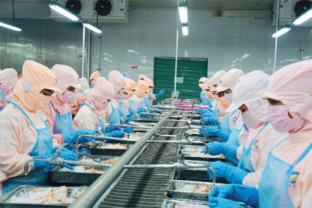 Australia - thị trường quan trọng của tôm Việt Nam năm 2023 