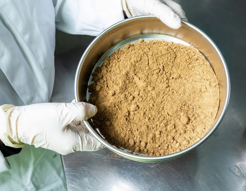 Peru Sản lượng cá cơm dùng làm bột cá, dầu cá tăng gấp 4 lần