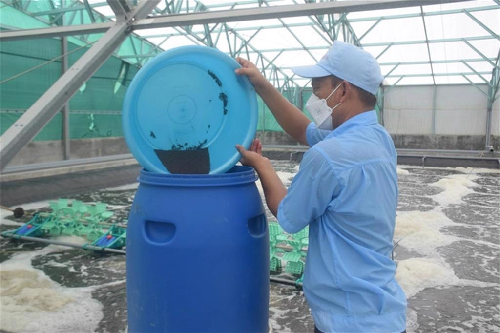 Bình Định chấp thuận chủ trương đầu tư Khu nông nghiệp công nghệ cao về tôm