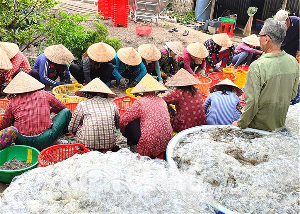 Thủy sản Kiên Giang Sản lượng giảm nhưng giá trị tăng