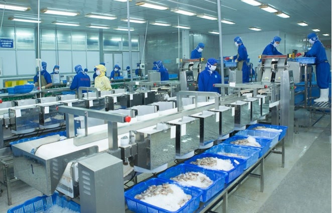 Thuan Phuoc Corporation set a target of 130 million USD for seafood export 