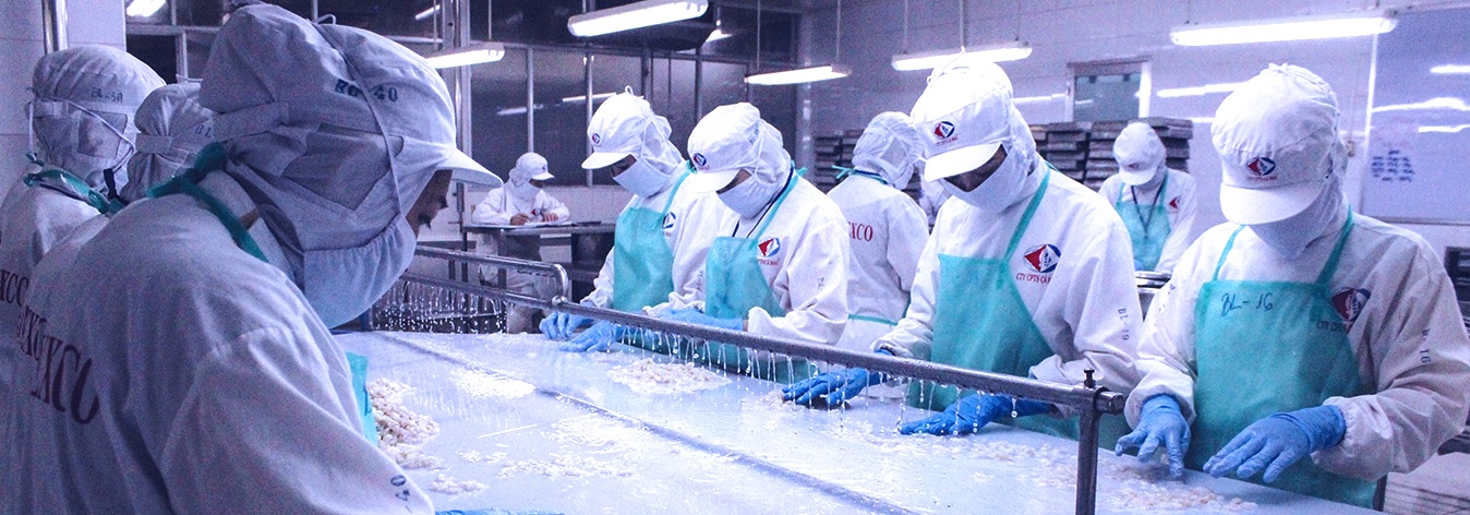 SEAPRIMEXCO (CAT) set the export target of 32.000 USD in 2023