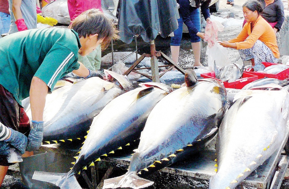 Light up tuna exports to the UK in February 2023