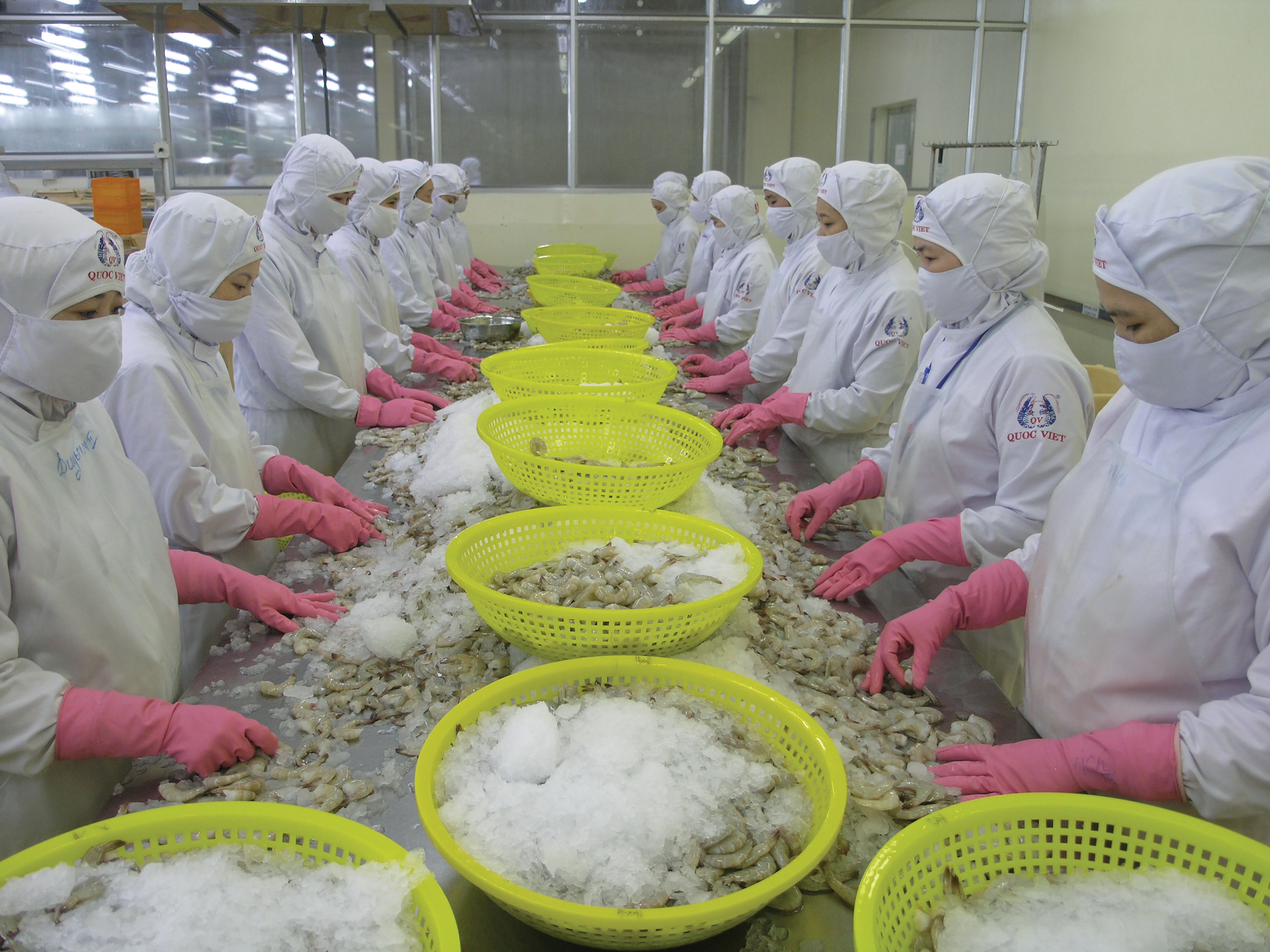 Australia- Important market of Vietnamese shrimp in 2023