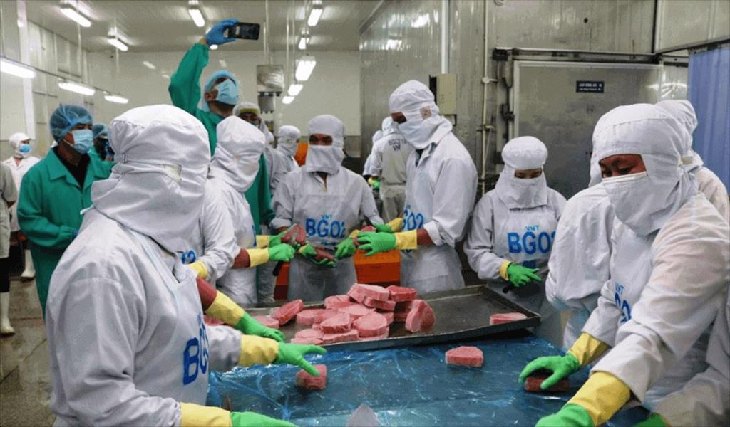 Vietnam’s tuna exports to Peru double 
