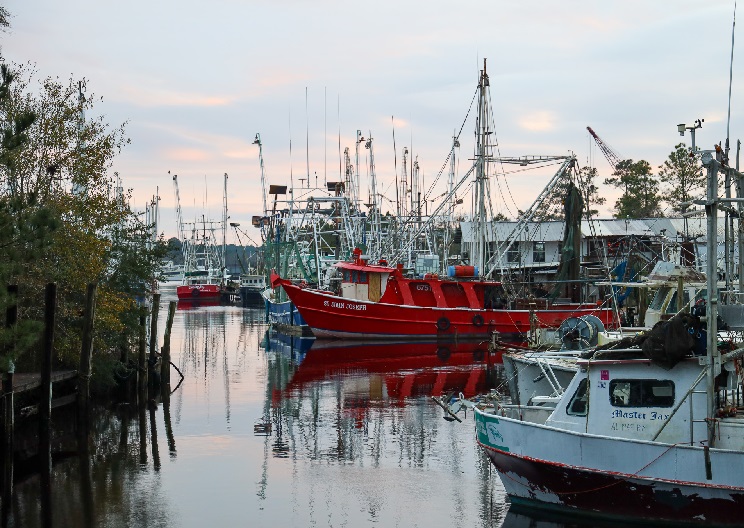 Lượng tôm cập cảng của Mỹ giảm 6% trong năm 2022 