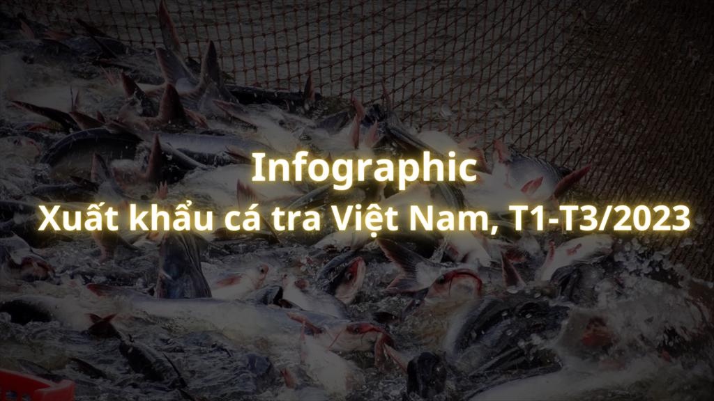 Infographic Xuất khẩu cá tra Việt Nam, T1-T32023