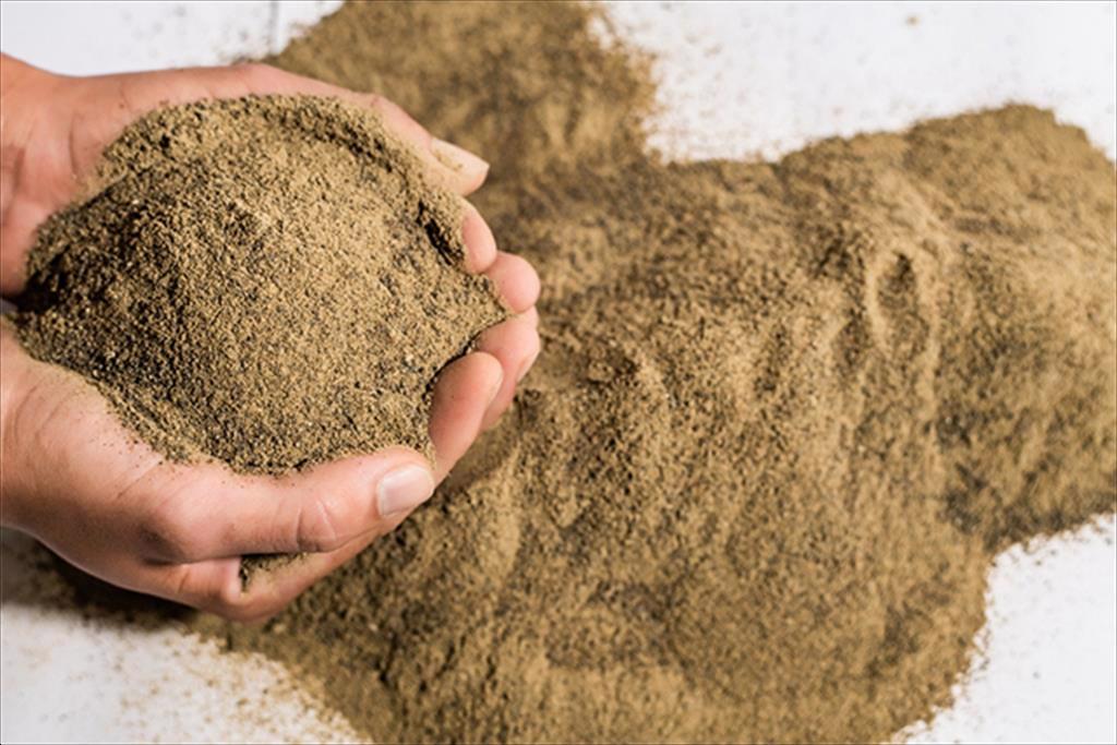 Peru Doanh số bột cá tăng mạnh trong tháng 12023