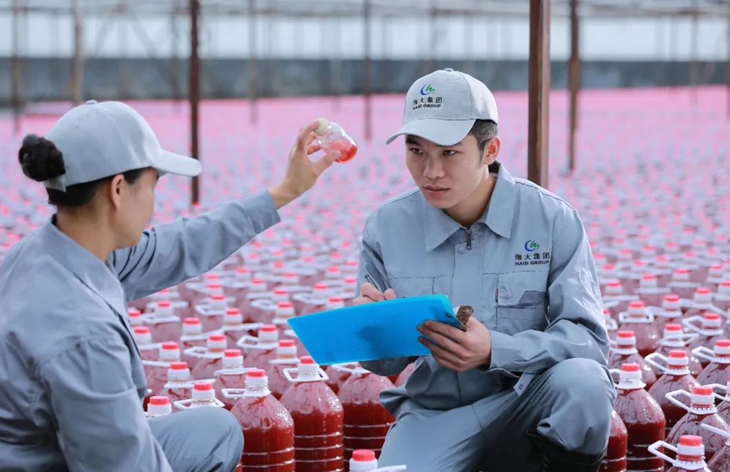 “Ông lớn” thức ăn chăn nuôi của Trung Quốc tăng mạnh lợi nhuận trong quý 12023