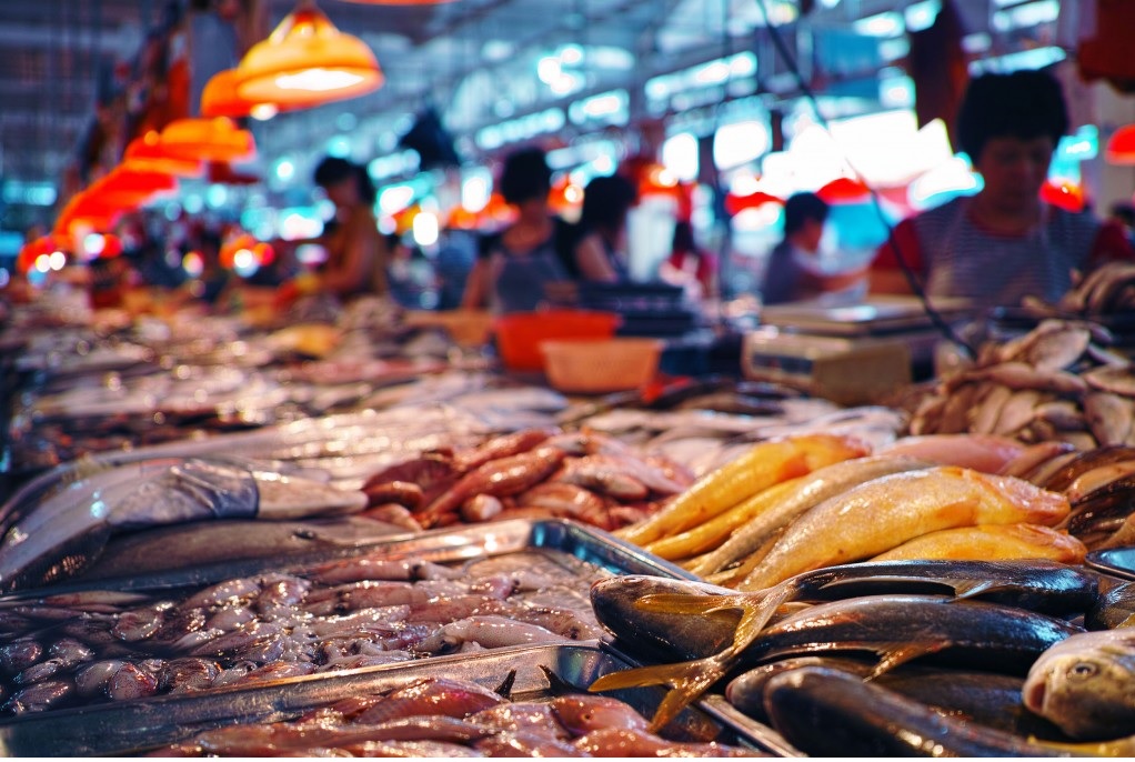 EJF kêu gọi Hàn Quốc tăng cường truy xuất nguồn gốc hải sản để ngăn chặn IUU